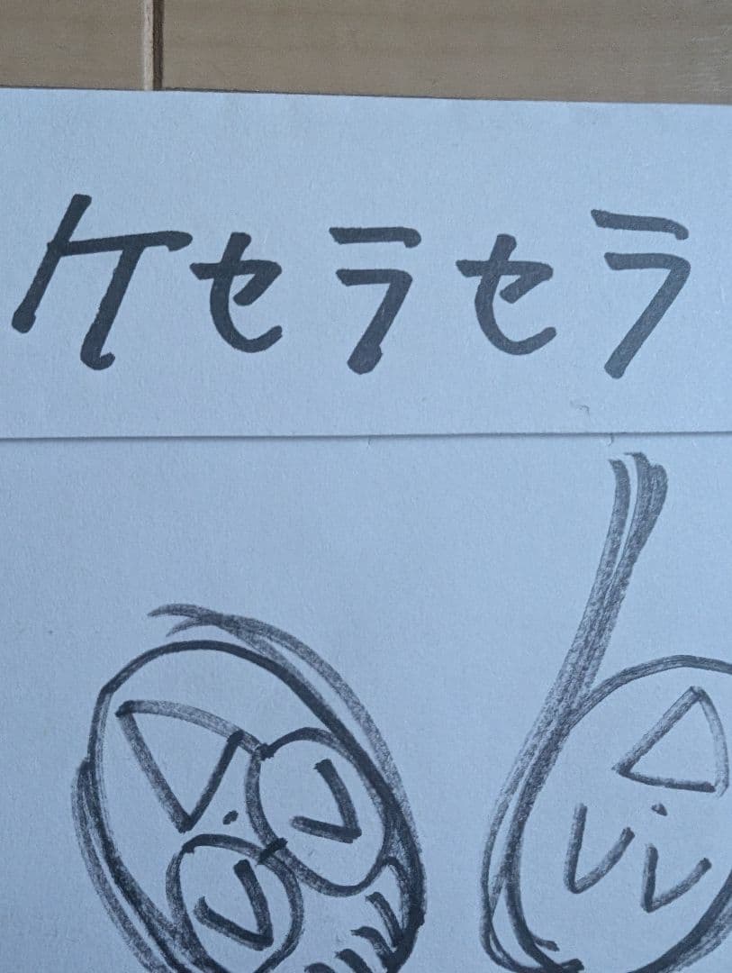 新しい学校のリーダーズ 売れてなかった時手売りしてたCＤ サイン入り 超超レア！