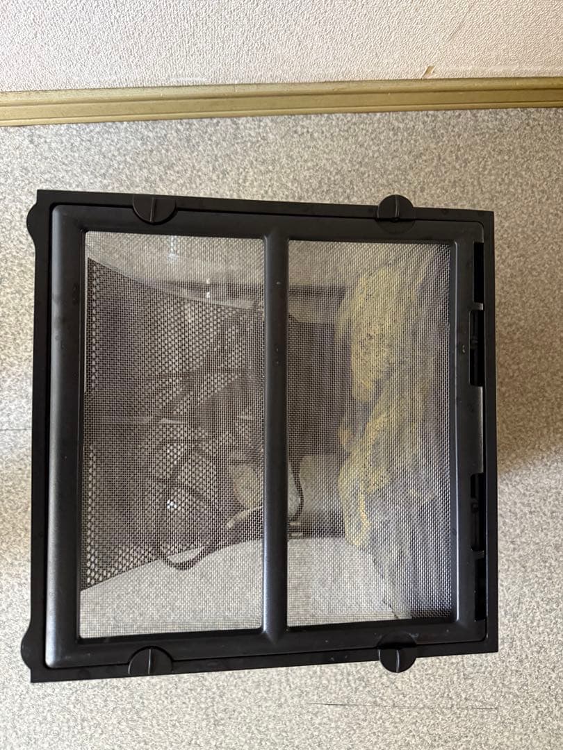 グラステラリウム3030 飼育セット