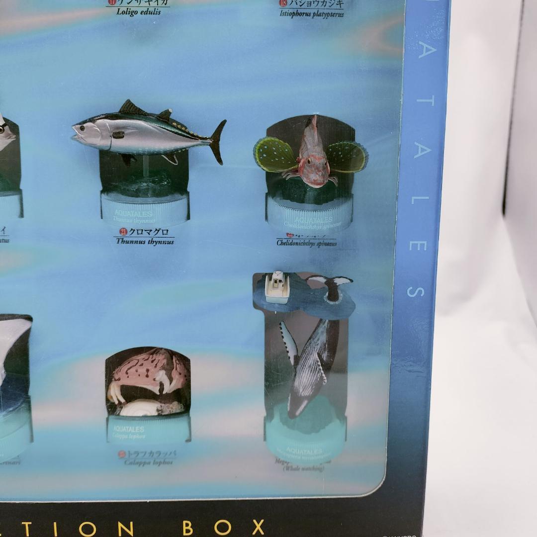 【非売品】黒潮コメッコ 第2弾 販促用 BOX アクアテイルズ フィギュア