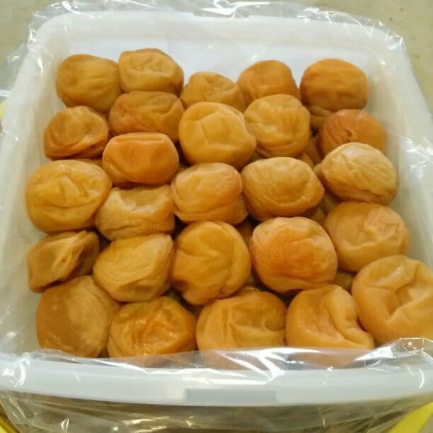 ムーミン　梅干し10kg