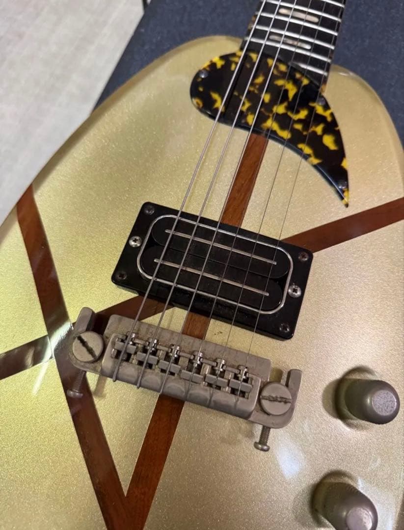 H.S.AndersonヒューストンAppleギター 希少 レア HS-A1