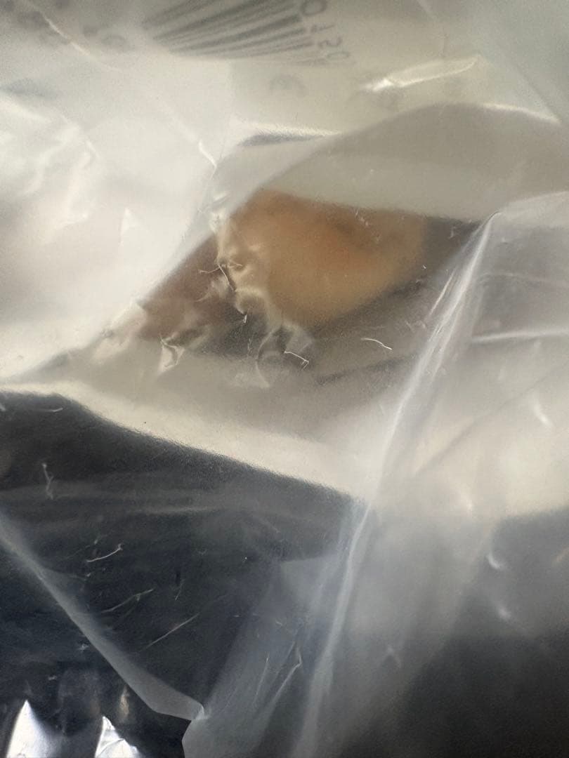 【新品未開封】Leica 100周年 Steiff コラボ テディベア 限定品