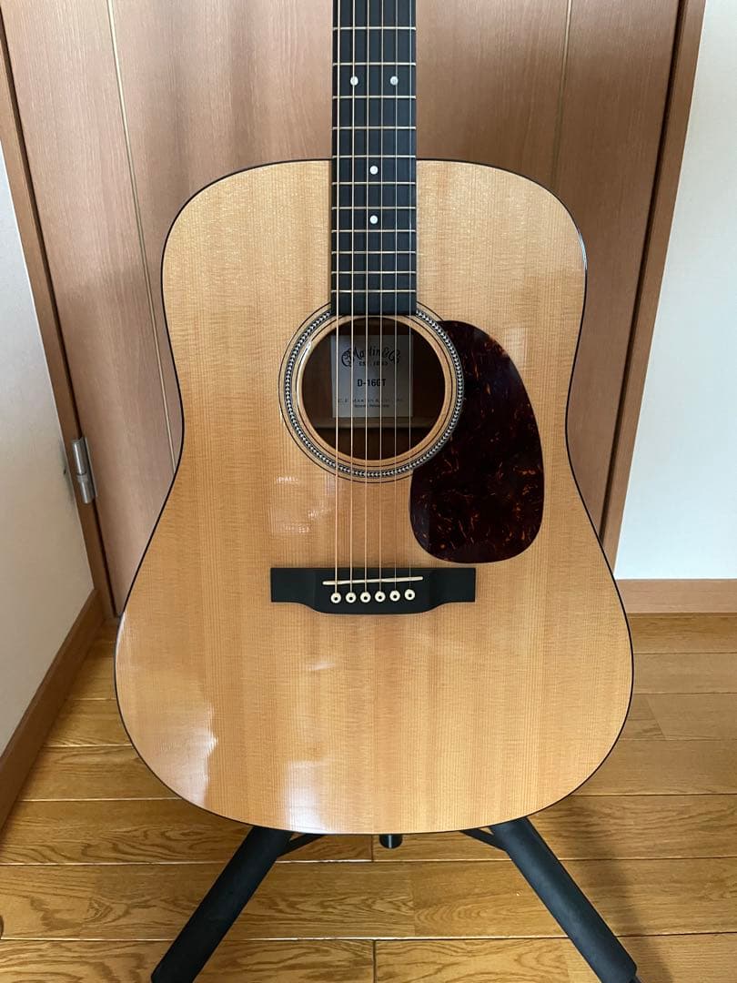 【説明・プロフ必読！】Martin & Co. D-16GT