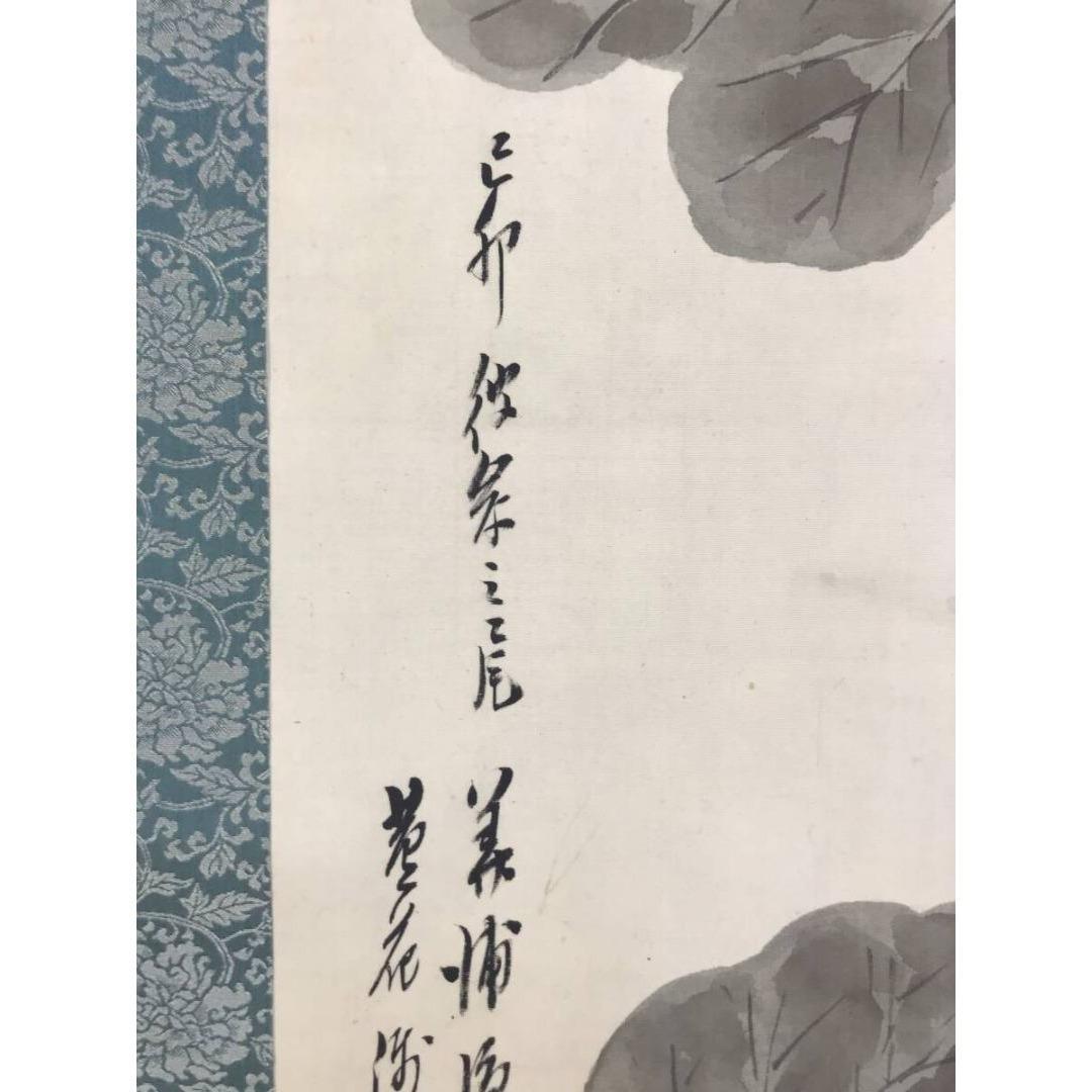 真作/藤井華浦/蓮に白鷺/サギ図/花鳥図/掛軸☆宝船☆AK-213