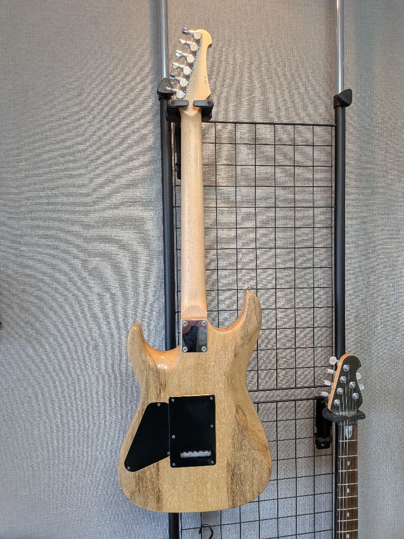 ギター Addictone Custom Guitars Modern Series
