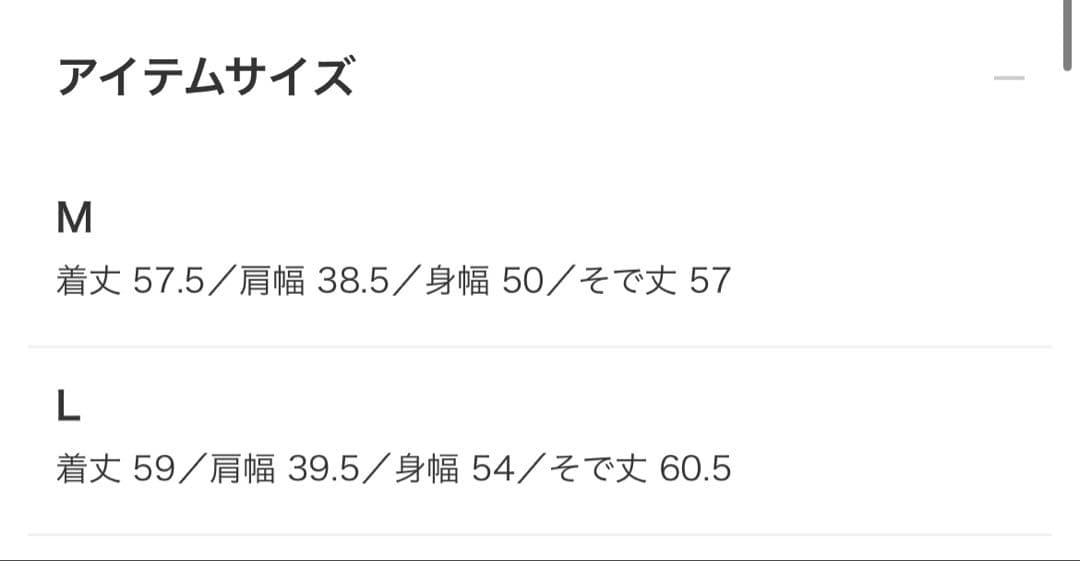 BEAMS GOLF エアシャット 縦ロゴ ニット（防風）