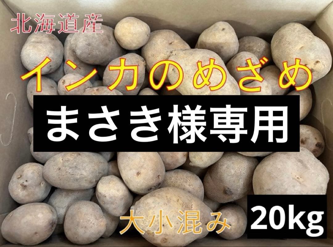 【まさき】北海道産じゃがいも（インカのめざめ）　大小混み20kg