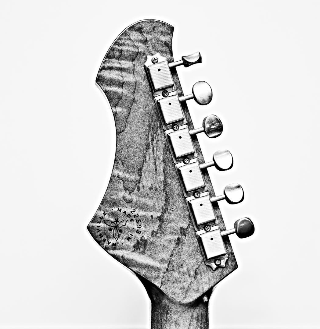 NOVO Serus T / 公式Insta掲載個体 / 3.13kg/fano