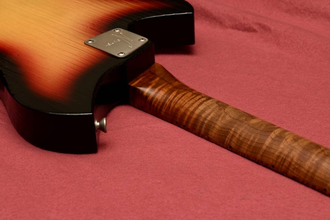 NOVO Serus T / 公式Insta掲載個体 / 3.13kg/fano