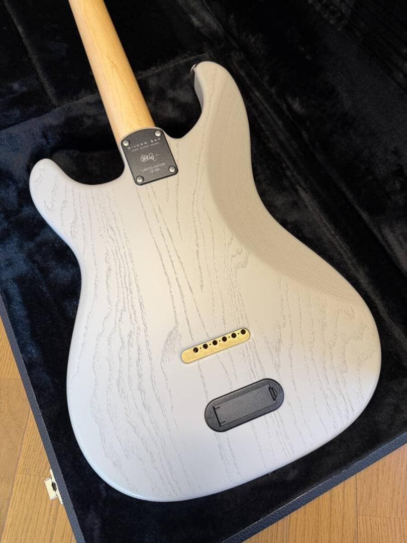 ギター PRS Paul Reed Smith DEAD SPEC SILVER SKY