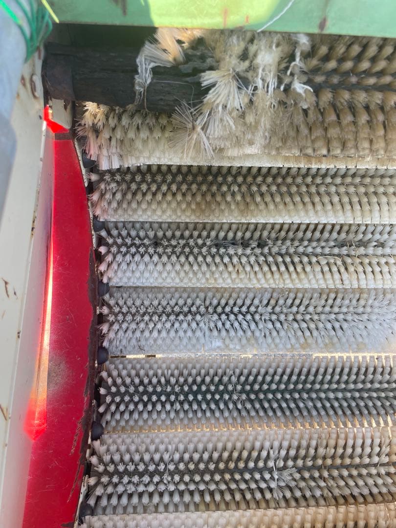 大根ニンジン洗浄機　サシナミ　DUW 150-8CF- 200V 中古