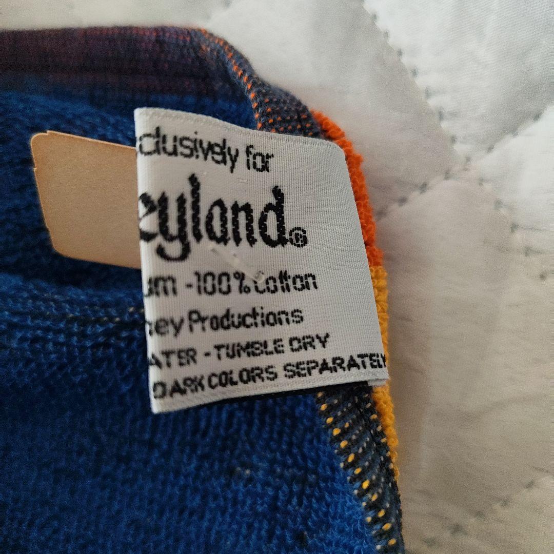 ディズニーランド ビーチタオル