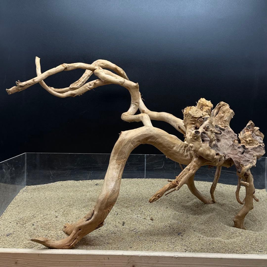 MDW-7000 特大ブランチウッド　流木　枝流木　アクアリウム