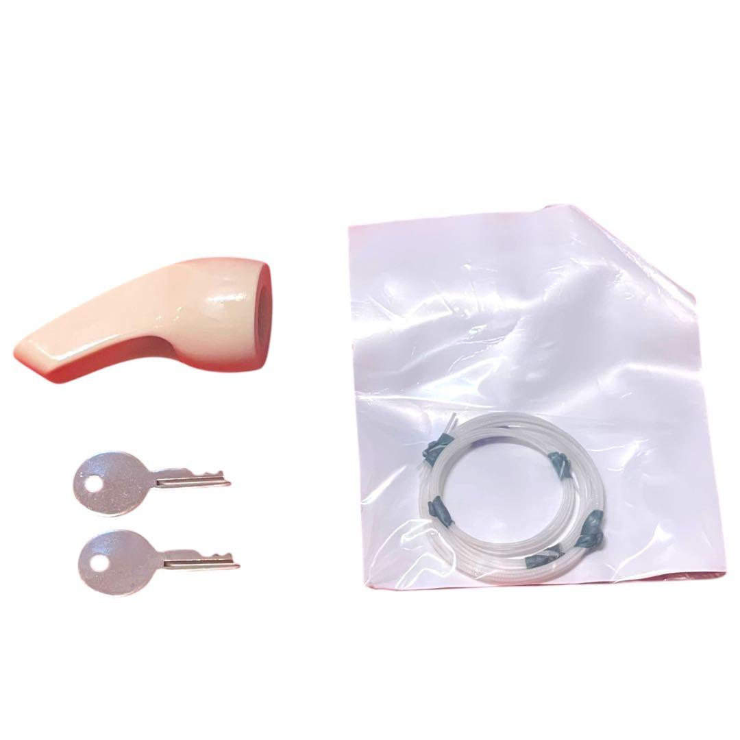 美品 沖縄 琉球 三線 本蛇皮 蛇革 ヘビ 初心者 入門 ハードケース付き