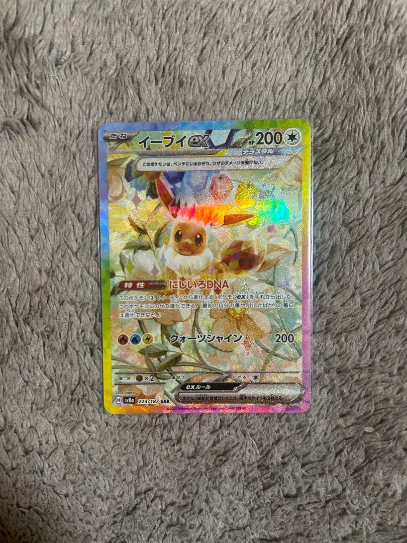 テラスタルフェスex ブイズ　10枚コンプリートセット