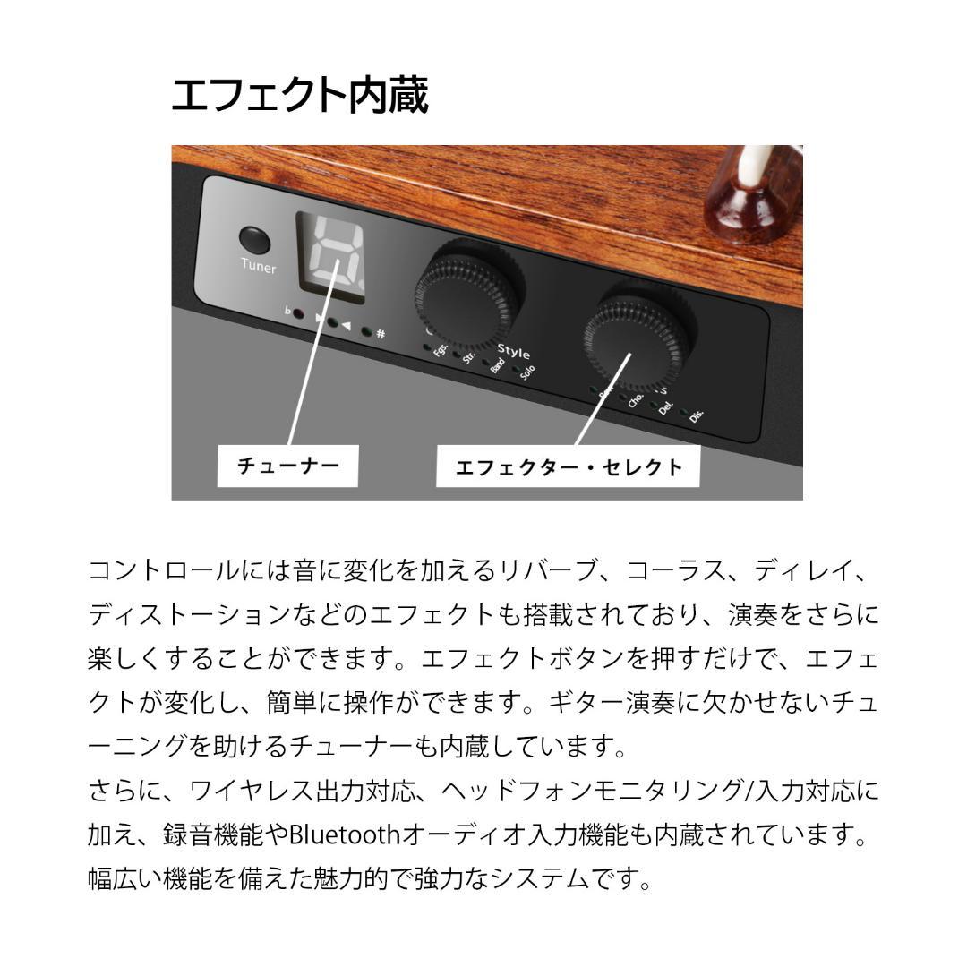 Natasha / NBSG Steel, BK スマートギター