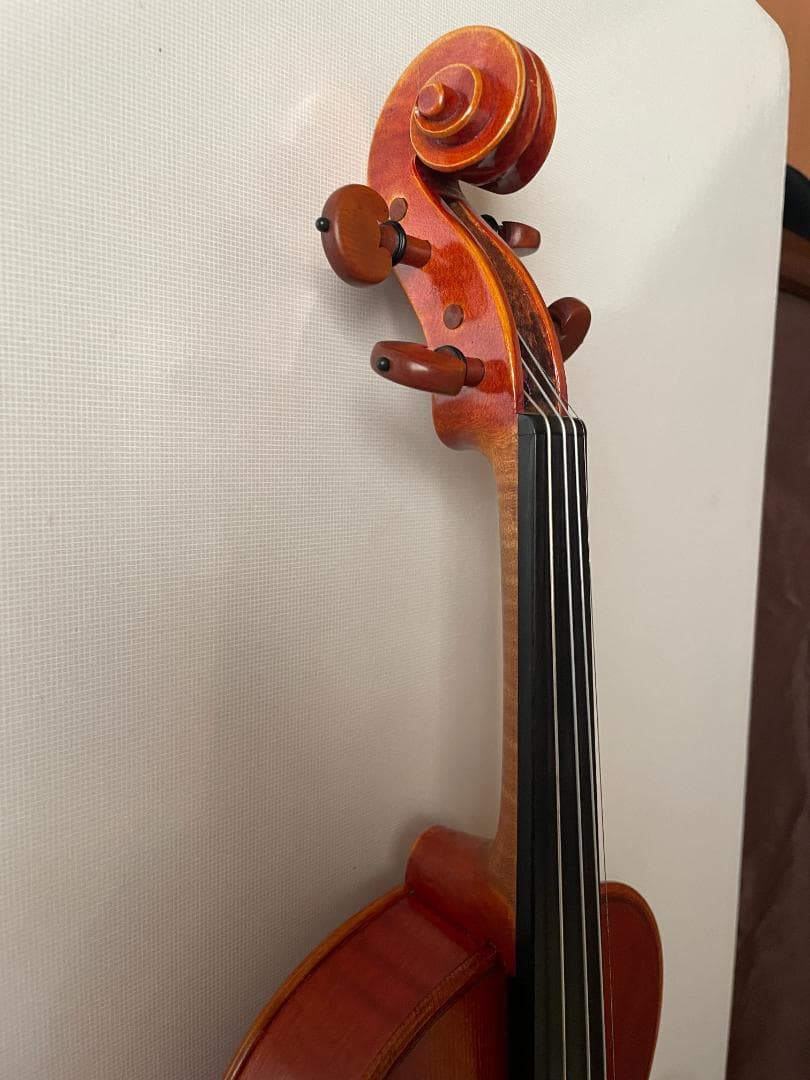 ピグマリウス DX-118 4/4サイズ 駒調整済み