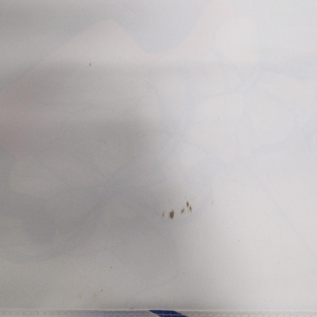 金色ラブリッチェ　ミナ　タペストリーB2