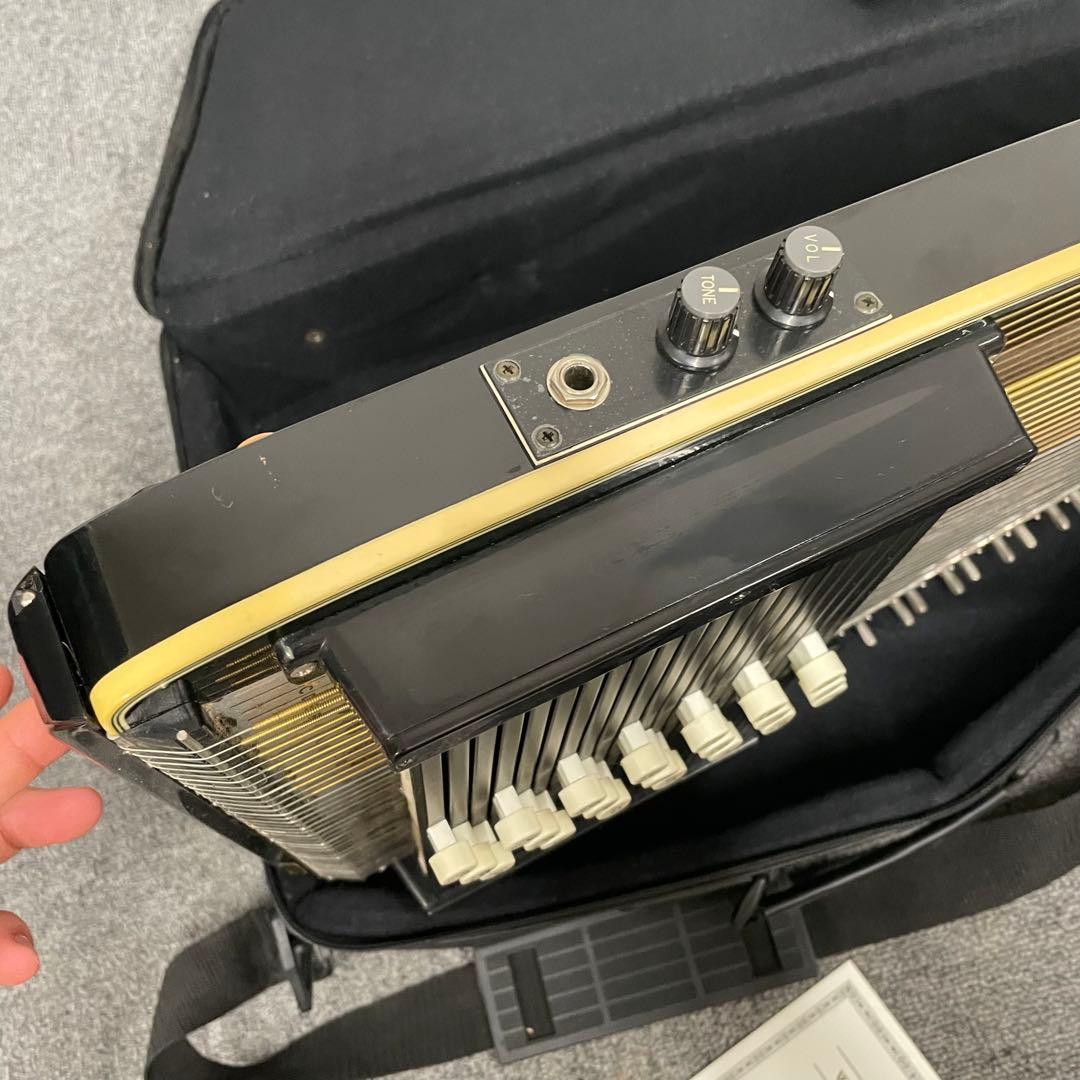 MAVIS マービス エレキハープ 弦楽器