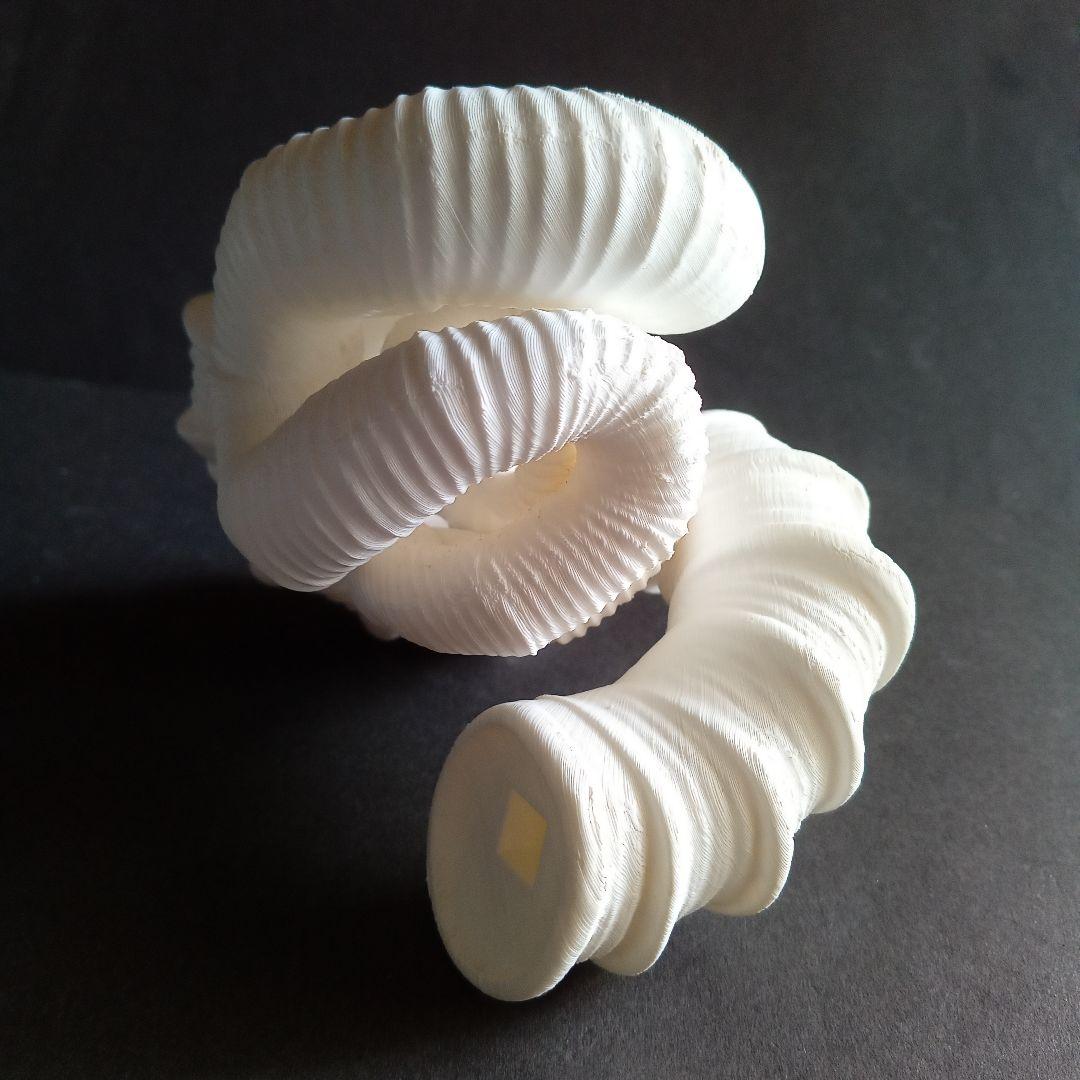 異常巻きアンモナイト　ニッポニテス　３Ｄモデル