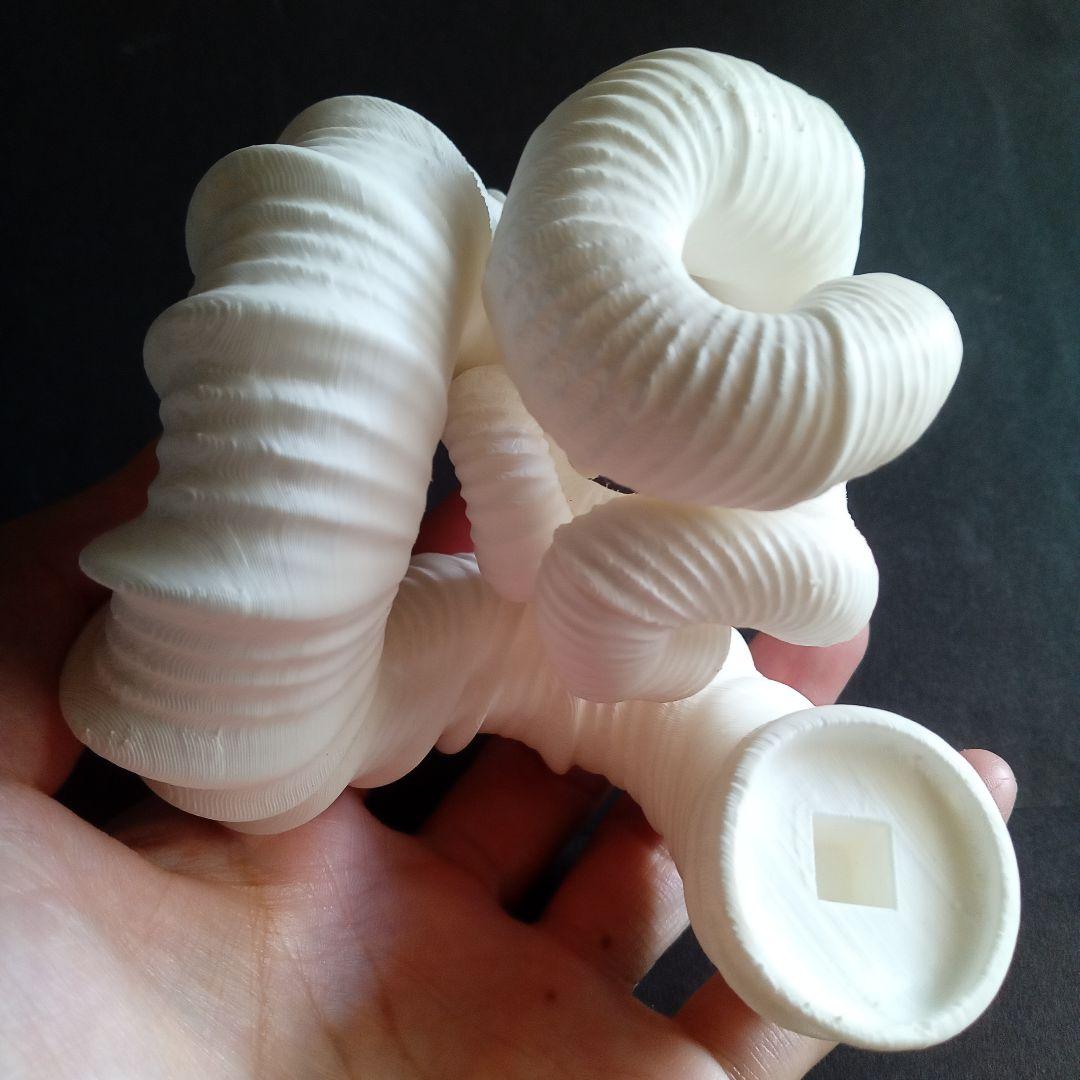 異常巻きアンモナイト　ニッポニテス　３Ｄモデル