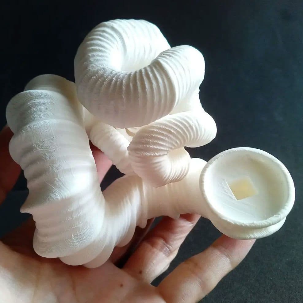 異常巻きアンモナイト　ニッポニテス　３Ｄモデル