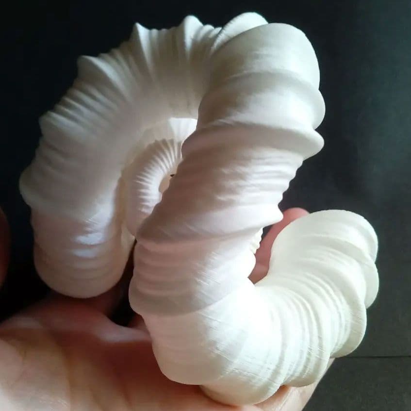 異常巻きアンモナイト　ニッポニテス　３Ｄモデル