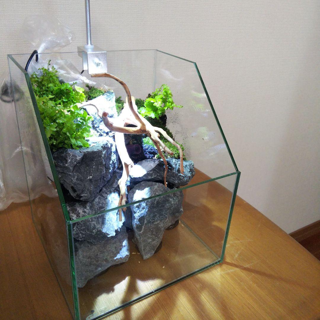 【受注生産】アクアテラリウム