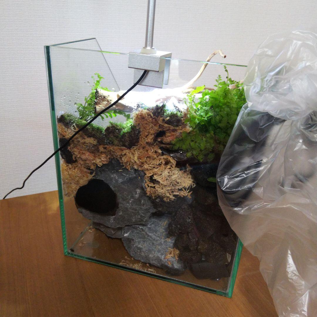 【受注生産】アクアテラリウム