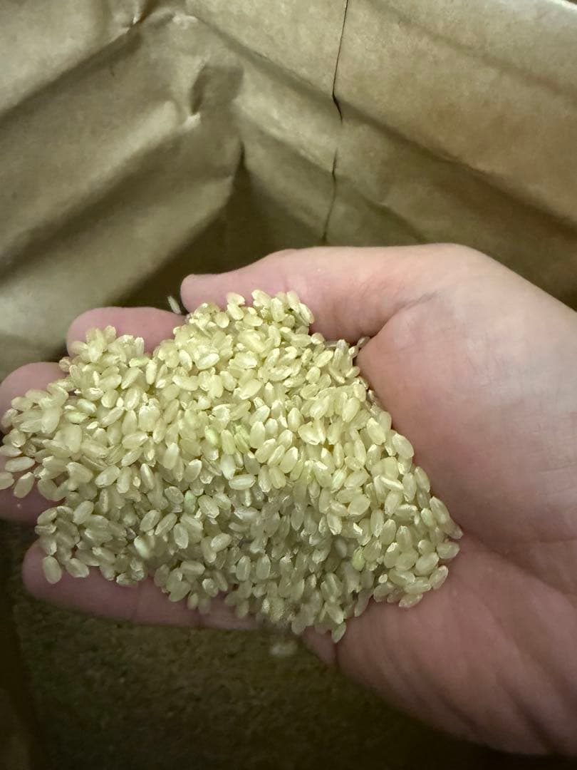 令和7年度産ひとめぼれ30キロ玄米