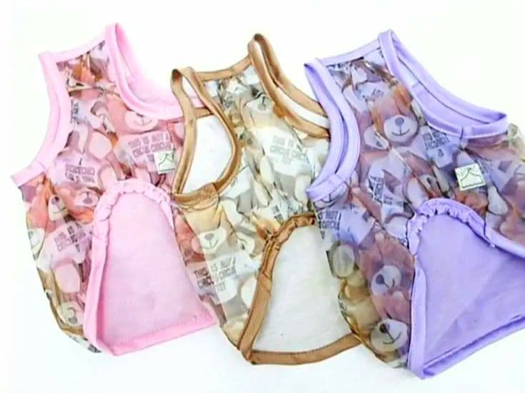 A　Airy Bear キャミ3色セット　サーカスサーカスcircuscircu