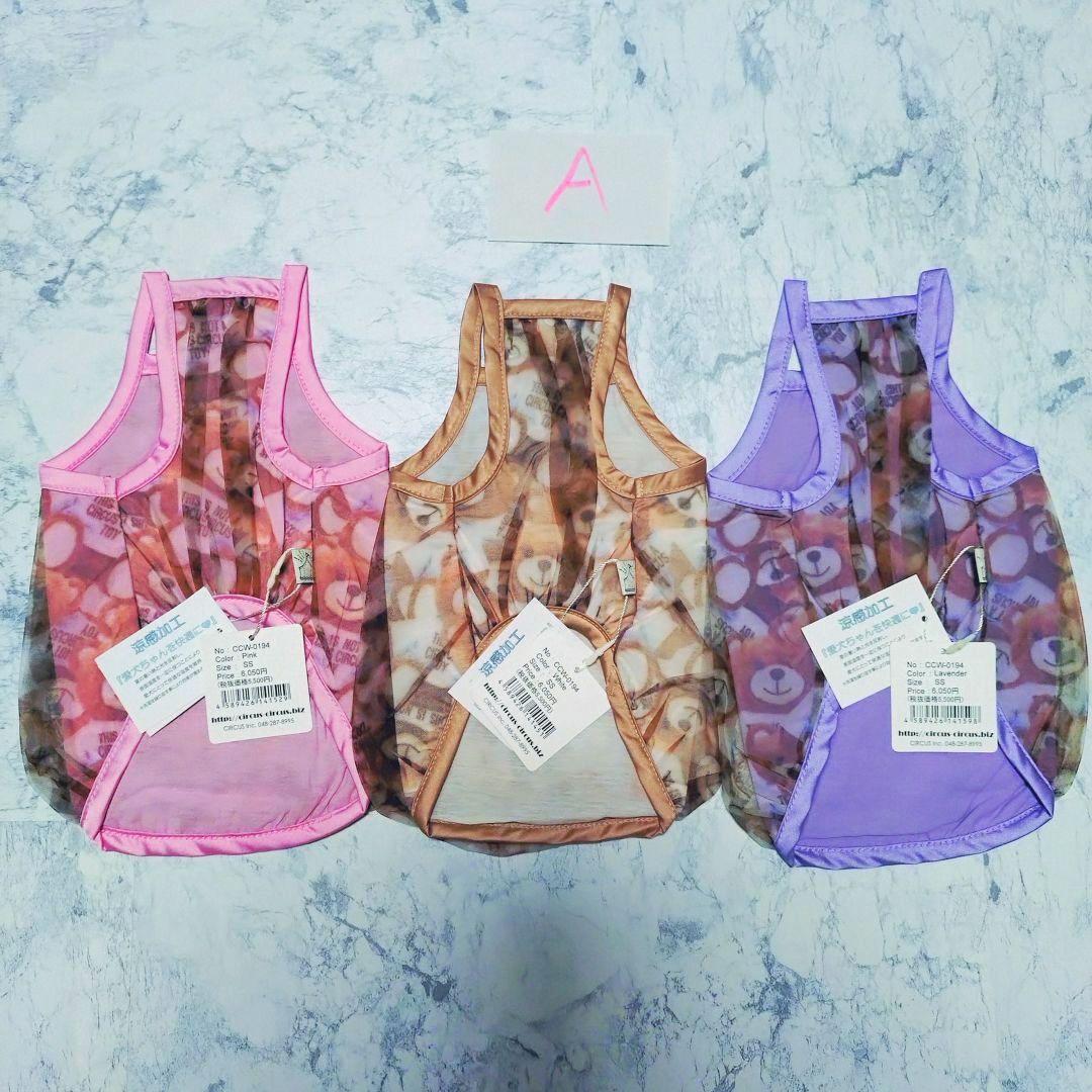 A　Airy Bear キャミ3色セット　サーカスサーカスcircuscircu