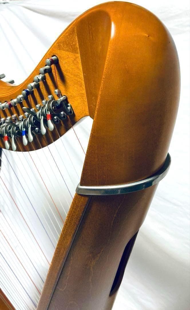 【ATM/コンビニ支払い分割用①】 CAMAC HARPS 38弦 ハープ