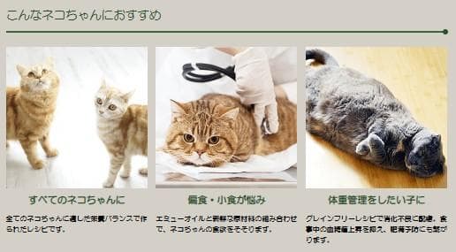 ネイチャーズテイスト グレイン&グルテンフリー カンガルー&ターキー　16kg