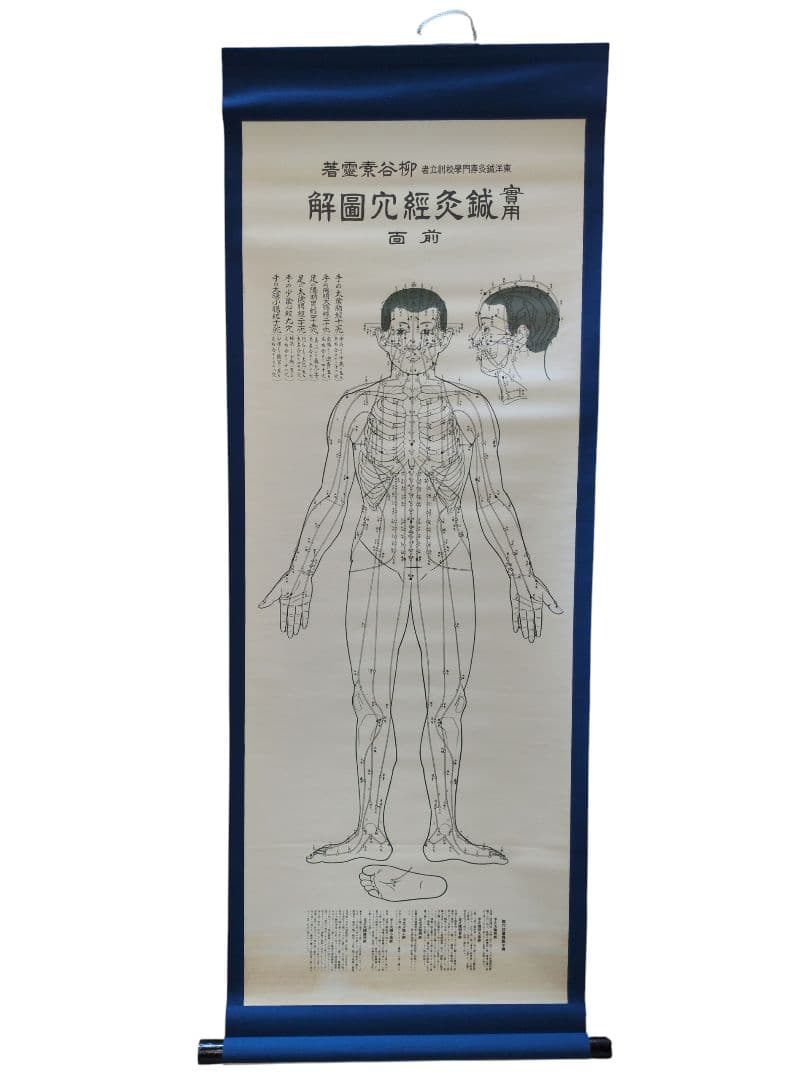 柳谷素霊　実用 鍼灸経穴図解 前後面 掛軸