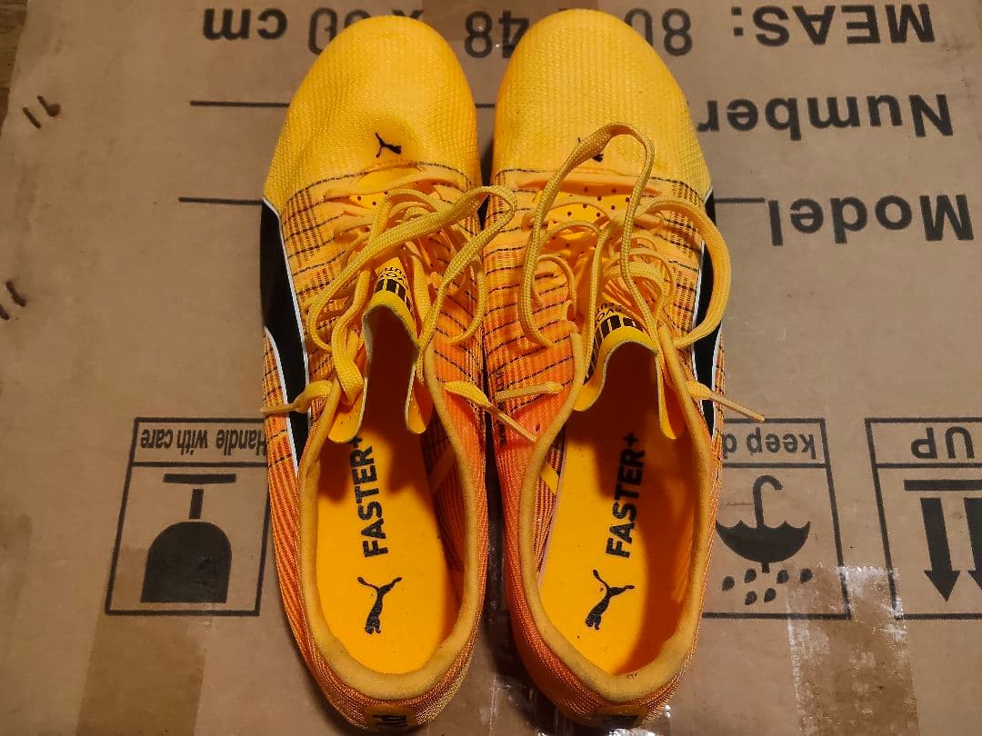 プーマ エヴォスピード フューチャー ファスター +4 28.0cm