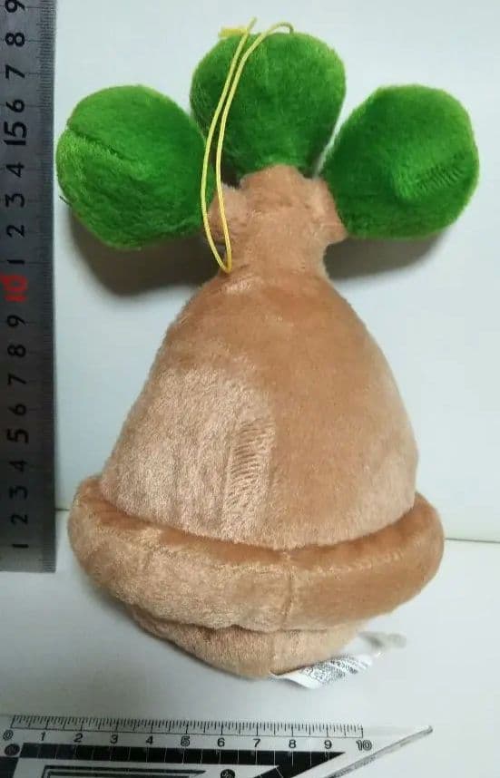 ポケモン　ウソハチ