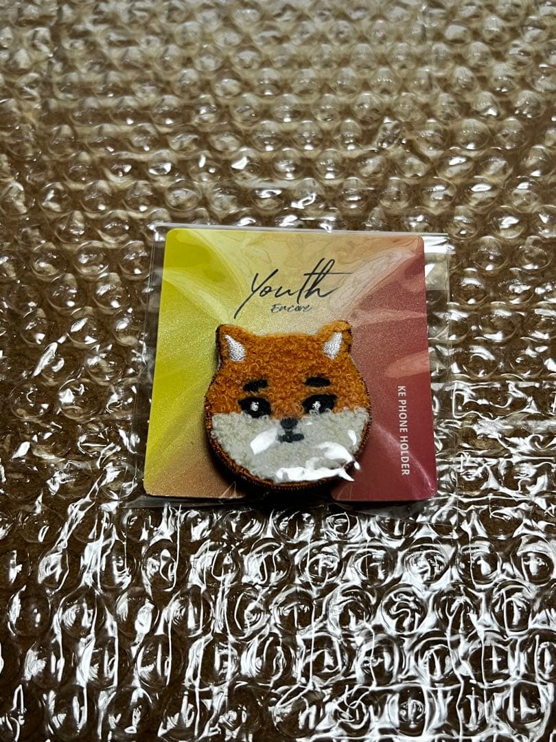 DAY6 ヨンケイ youngk ツアーグッズ フォトブックキット グリップ