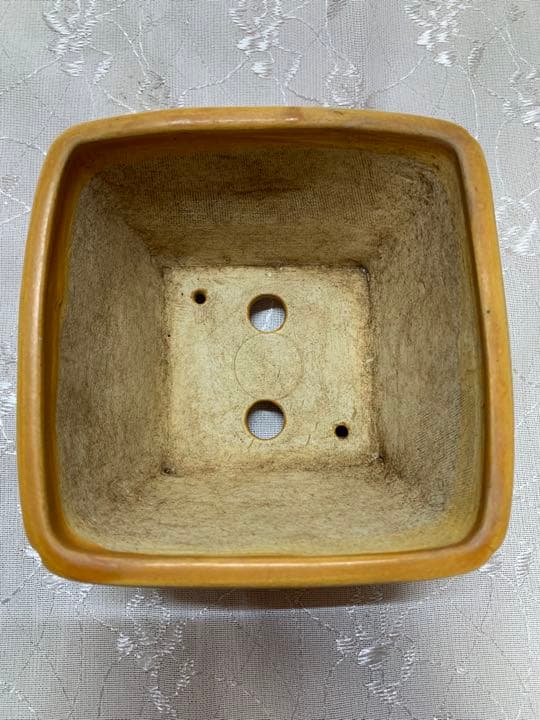 土交　正方　深め　盆栽鉢