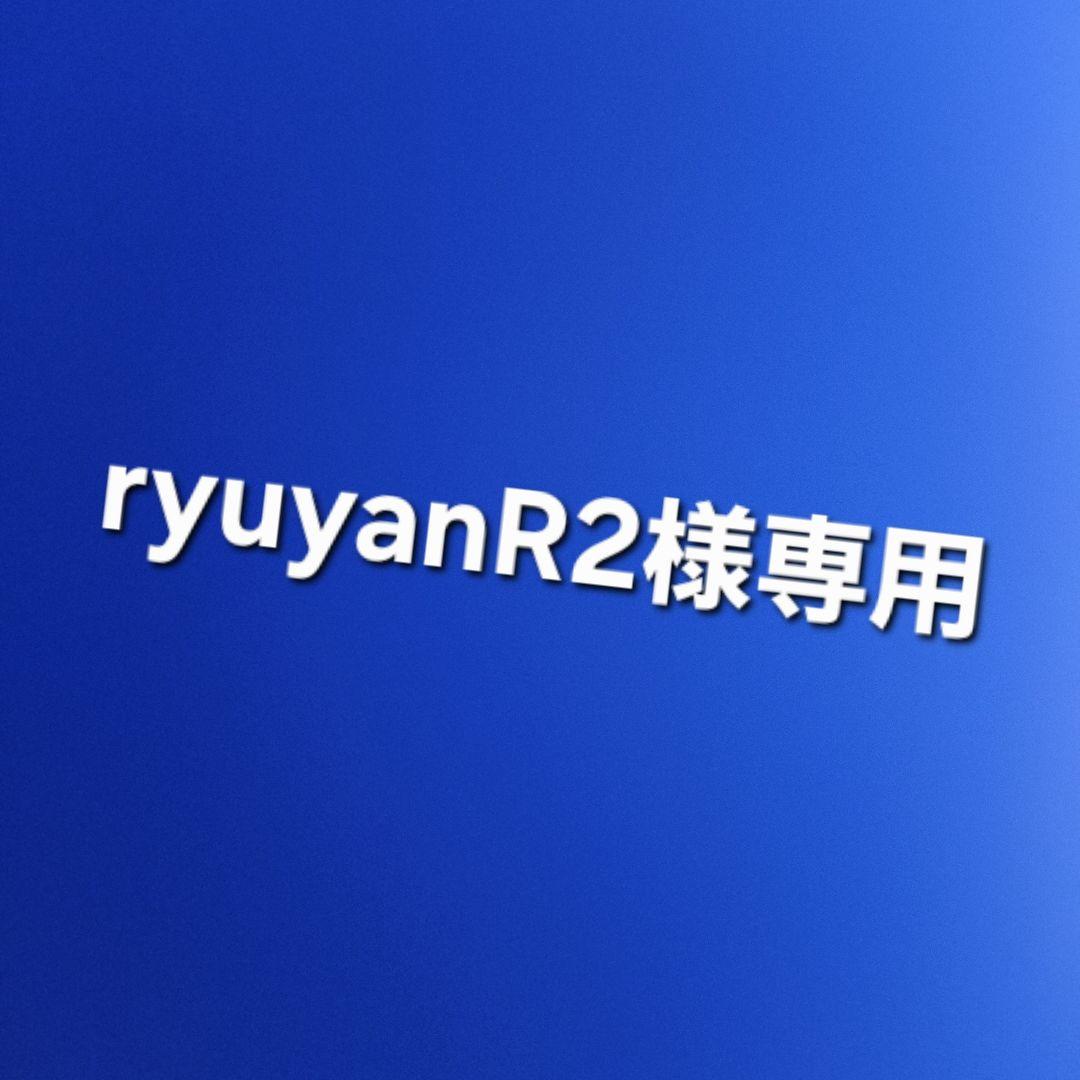 ロボット ryuyanR2