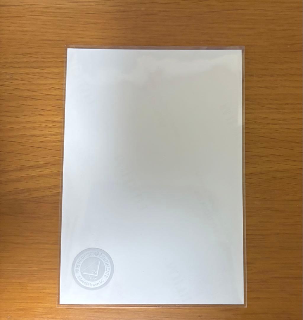 櫻坂46 佐藤愛桜 直筆サイン入り生写真