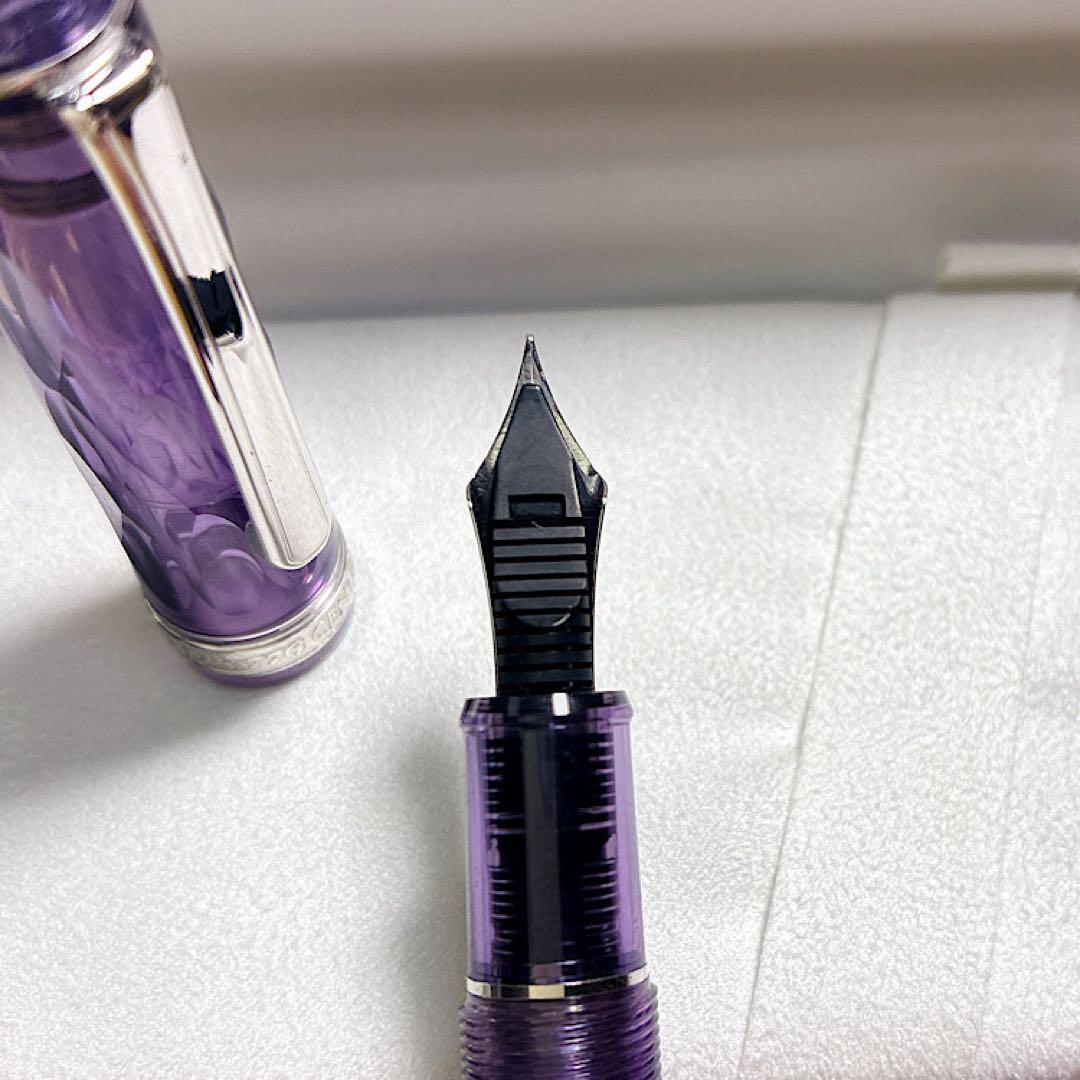 F プラチナ万年筆 紫雲 #3776 センチュリー