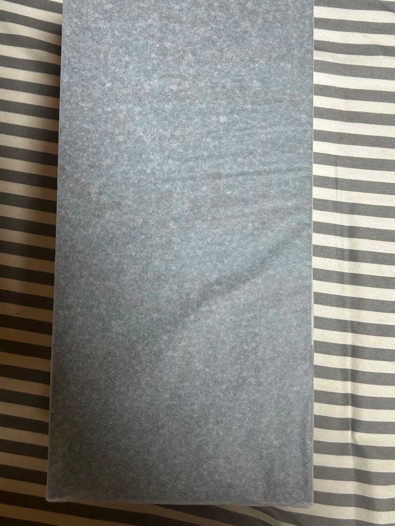 ソフィー・ノイエンミュラー 競泳水着ver.