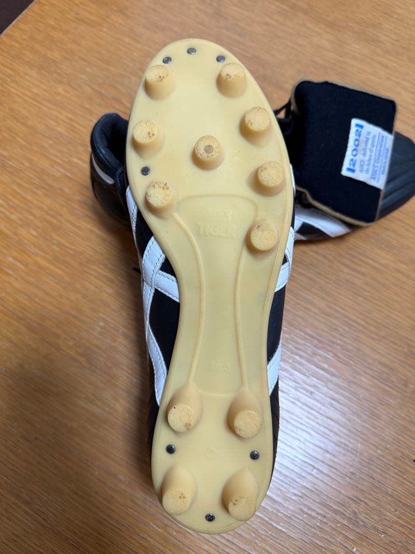 インジェクター2002 asics アシックス TSI900 26.0