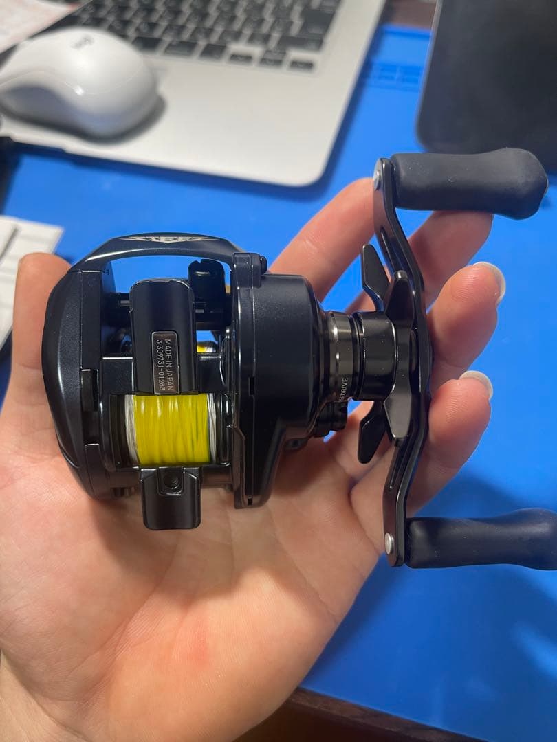 リール DAIWA STEEZ A2 TW 1000HL
