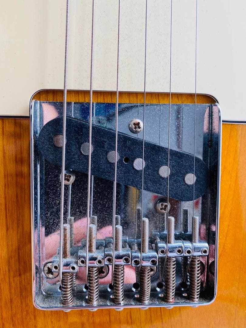 ギターSelva Telecastder