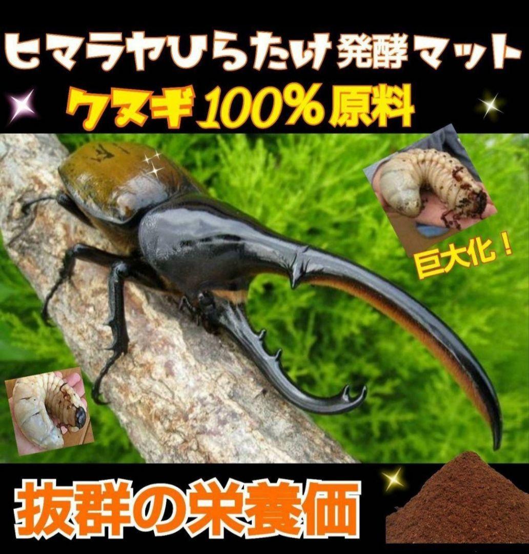 カブトムシ幼虫が大きくなります！発酵マット【たっぷり50リットル】雑虫わきません