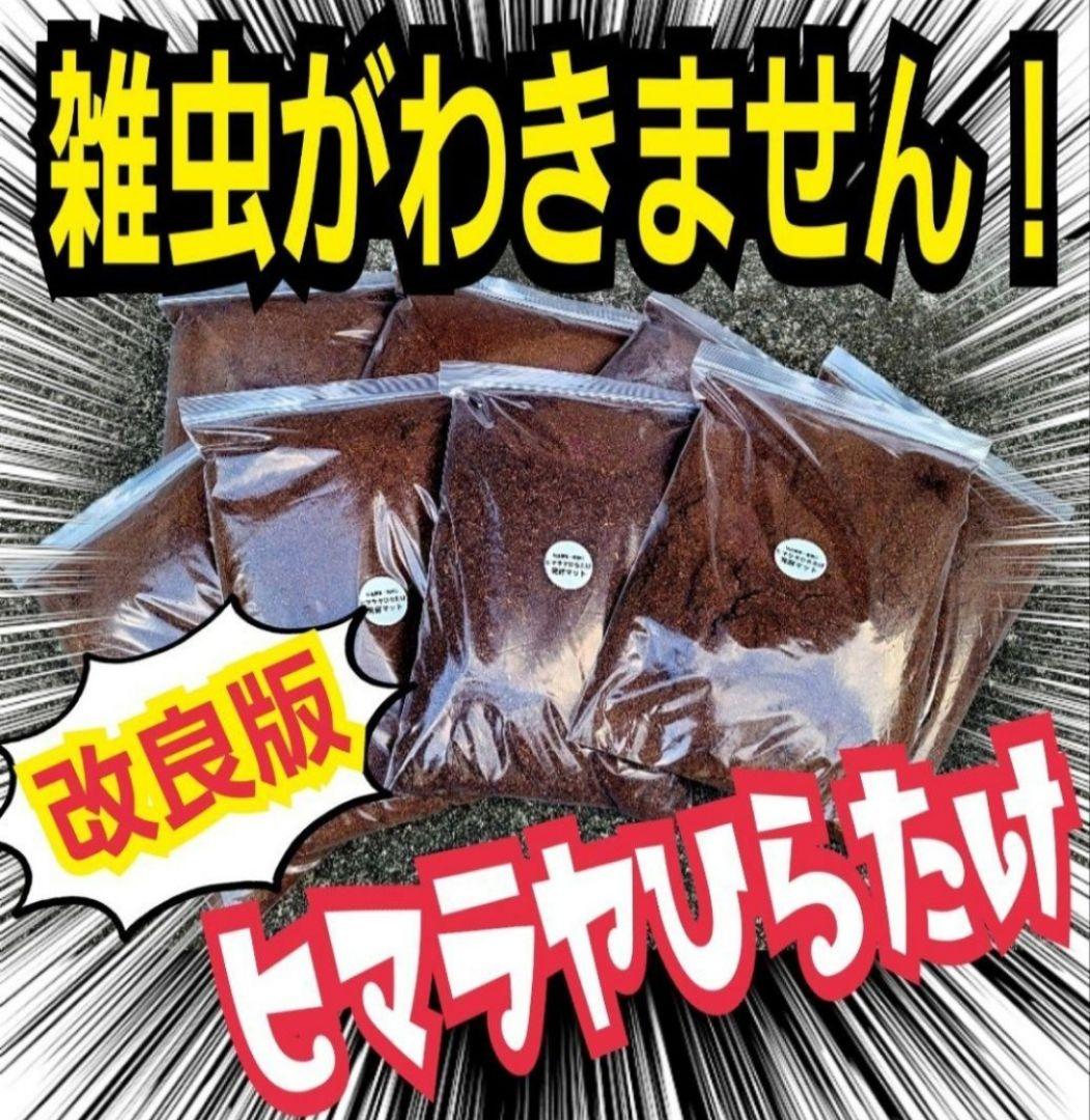 カブトムシ幼虫が大きくなります！発酵マット【たっぷり50リットル】雑虫わきません