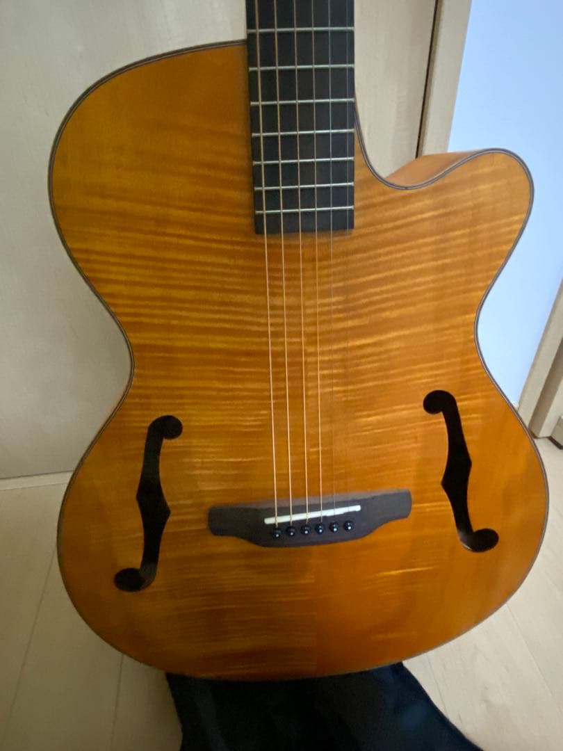 ARIA アリア FET-F2 STBR エレアコ