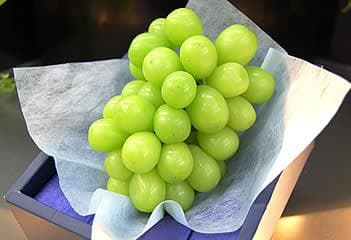 coco様向け商品　　　 クール便送料込み　15,500円